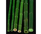 B-Ware Bambusrohr grün gefärbt Durch. 5- 6,5cm mit 300cm - Bambusrohre, Rohre aus Bambus, Bambus Rohre Bambusrohr --> großes Sortiment ...