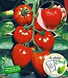 BALDUR-Garten Veredelte Herz-Tomate "Fleurette" F1,2 Pflanze Tomatenpflanze