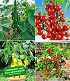 BALDUR-Garten Veredelte Snack-Gemüse Kollektion,4 Pflanzen Snacktomate Lupitas, Snackgurke Minik und Snackpaprika