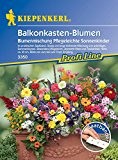 Balkonkasten - Blumenmischung Sonnenkinder (Saatband) von Kiepenkerl