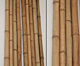 Bambus 290cm gelbbraun Durch. 4 bis 4,5cm, Moso Natur hitzebehandelt - Bambus Rohr Bambus Latten farbige Bambusrohre Bamboo Bambus Halbschale ...