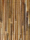 Bambus-Sichtschutz aus Leisten - 4m Rolle, 2m hoch