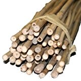 Bambus-Stäbe 120cm, Ø 10-17mm (10)