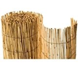 Bambusmatte Rio - Sichtschutzmatte günstig 150 x 500cm