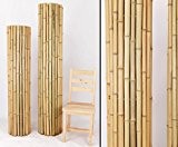 Bambusmatte Roll Zaun mit 150x200cm aus Moso Bambusrohren 3,5 bis 5cm naturbelasen "Bali Big" - Bambusrohre, Rohre aus Bambus, Bambus ...