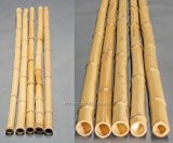 Bambusrohr gelb, Moso Bambus, gebleicht, Durch. 4,5 - 6cm, Länge 200cm
