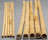 Bambusrohr gelb, Moso Bambus, gebleicht, Durch. 4,8 - 6cm, Länge 180cm - Bambusrohre, Rohre aus Bambus, Bambus Rohre Bambusrohr  ...