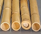 Bambusrohr gelb,Moso Bambus, gebleicht, Durch. 6- 8cm, Länge 200cm