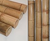 Bambusrohr Moso natur 100cm Durch. 10 bis 13cm, unbehandelt getrocknet gelbbräunlich - Bambus Rohr Bambus Latten farbige Bambusrohre Bamboo Bambus ...