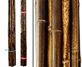 Bambusrohr "Nigra", braun schwarz, Durch. 4- 4,5cm, Länge 240cm