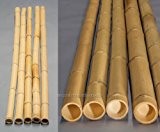 Bambusrohre "Moso" gebleicht, Durch. 8- 9cm, Länge 200cm