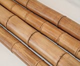Bambusrohre natur gelbbraun 140cm Durch. 9 bis 10cm, Moso unbehandelt getrocknet - Bambus Rohr Bambus Latten farbige Bambusrohre Bamboo Bambus ...