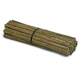 Bambusstab (120 cm / Dünn) 10er Pack