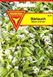 Bärlauch, Allium ursinum, Wilder Knoblauch, ca. 35 Samen