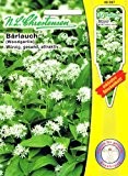 Bärlauch Allium ursinum würzig gesund attraktiv Gewürzpflanze Aromapflanze