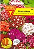Bartnelke, Nelken, Dianthus barbatus, ca. 400 Samen