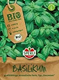 Basilikum - Bio-Basilikum Großes Grünes Genoveser - Bio-Saatgut von Sperli-Samen