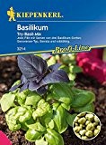 Basilikum Simply Herbs Try-Basil-Mix - 1 Port. / Saatgut