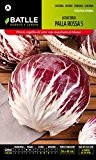 Batlle Gemüsesamen - Chicoree Radicchio Palla Rossa 5 (3840 Samen)