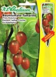 Baumtomate Tamarillo Cyphomandra betacea Tomate