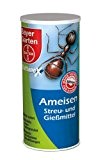 Bayer Ameisen Streu- und GieÃŸmittel 1000g