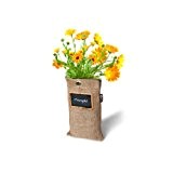 Baza Mini Garden Hängender Garten Blumen verschiedene Sorten Marigold Edelwicken Kapuzinerkresse (Marigold)