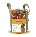 Baza - Minigarten im Anzuchtbeutel - Gemüse: BIO Tomate - Jutesack mit Erde & Samen