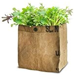 Baza - Salat Anzuchtset für die Küche - Pflanze: BIO Gemischter Salat - Fertiger Zuchtbeutel mit Erde & Samen - ...