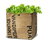 Baza - Salat Anzuchtset für die Küche - Pflanze: BIO Grüner Schnittsalat - Fertiger Zuchtbeutel mit Erde & Samen - ...