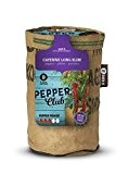 Baza - Seeds & Kitchengarden - Peperoni "Cayenne Long Slim" - Fertiger Zuchtbeutel mit Erde & Samen