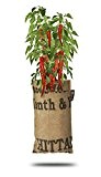 Baza - Seeds & Mini Garden - Pflanze: Cayennepfeffer - Fertiger Zuchtbeutel mit Erde & Samen - Pflanzbeutel zum Hängen