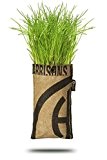 Baza - Seeds & Mini Garden - Pflanze: Schnittlauch - Fertiger Zuchtbeutel mit Erde & Samen - Pflanzbeutel zum Hängen