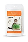 Baza - Seeds & Pets - BIO Katzengras - 3 Stück - 12cmx20cmx4cm - Gras für ihr Haustier