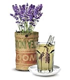 Baza - Seeds & Tea Garden - Pflanze: BIO Lavendel - Fertiger Zuchtbeutel mit Erde & Samen - Jutesack