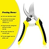 Becko's Stainless Steel Pruning Shears / Heavy Duty Tree Trimmer / Versatile Sharp Tree Pruners for Lawn & Garden by ...