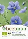 beetgrün BIO-Gründünger Blauer Lein