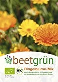 beetgrün BIO-Gründünger Ringelblume-Mix