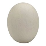 Beeztees 35608 Bruteier für Hühner aus Stein, 6 cm, 2 Stück