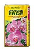 Bellandris Orchideenerde 5l