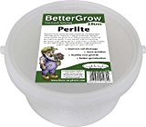 bettergrow Perlit 2 Liter
