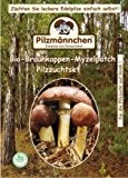 Bio Braunkappe Myzelpatch - Pilze selber züchten