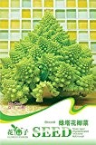 Bio-Broccoli Romanesco Samen, Orginal-Pack, 20 Samen / Pack, Roman Blumenkohl Fractal Heads Broccoflower Gemüse C067