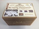 Bio Champignon Pilzzuchtset - Pilze selber züchten