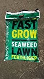 Bio Fast Grow Seaweed Rasendünger (10 kg)-Crumble in Ihrem Rasen für schöne und schnelle Ergebnisse.