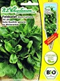 Bio Feldsalat Vit GS Rapunzel Salat Winter Anbau
