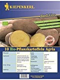 BIO Pflanzkartoffeln Agria Biosaatgut 10 Stück