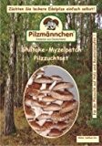 Bio Shiitake Myzelpatch - Pilze selber züchten