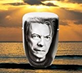 Biologisch abbaubar Verbrennung Asche Beerdigung Urne/Casket - Erwachsene Größe - David Bowie