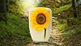 Biologisch abbaubar Verbrennung Asche Beerdigung Urne/Casket - Erwachsene Größe - Sunflower