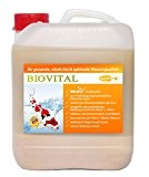 BIOVITAL 5000 ml Milchsäurebakterien, probiotische Filterbakterien, Koi, Teich